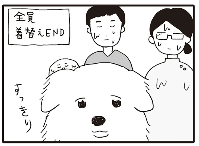 犬はすっきり、スタッフはびしょびしょ!? 超大型犬の診察は難易度MAX／いぬねこ動物病院日記（3）