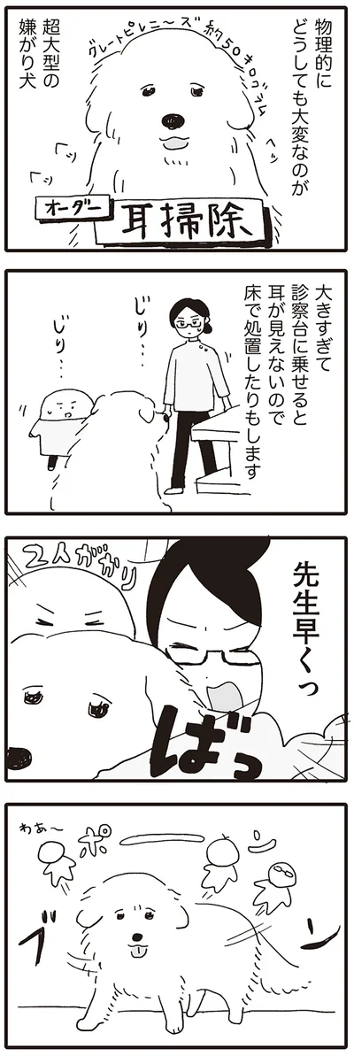 先生早くっ