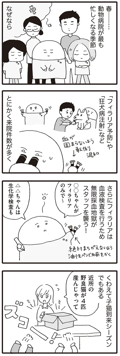 とにかく来院件数が多く