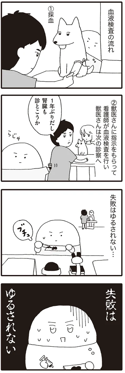 血液検査の流れ
