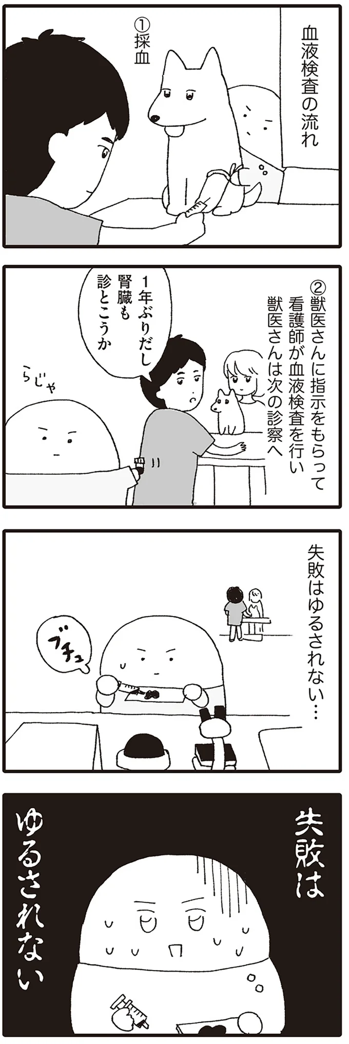 血液検査の流れ