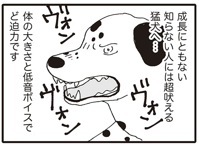 動物病院に存在する「院内動物部屋」。そこにはラスボスがいるようで？／いぬねこ動物病院日記（5）