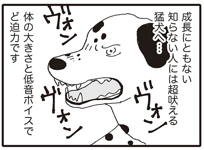 動物病院に存在する「院内動物部屋」。そこにはラスボスがいるようで？／いぬねこ動物病院日記（5）