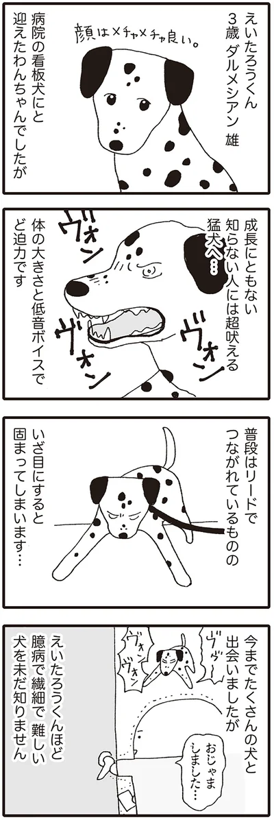 成長にともない　知らない人には超吠える猛犬へ…