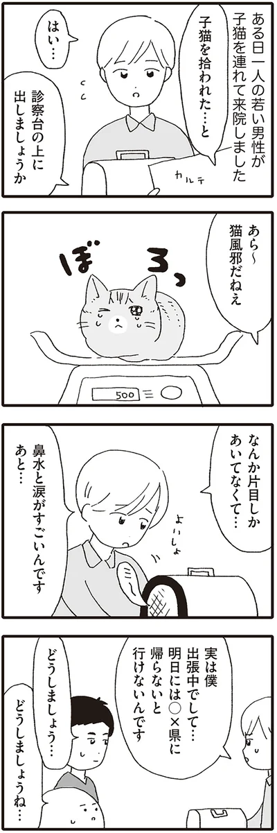 子猫を拾われた…と