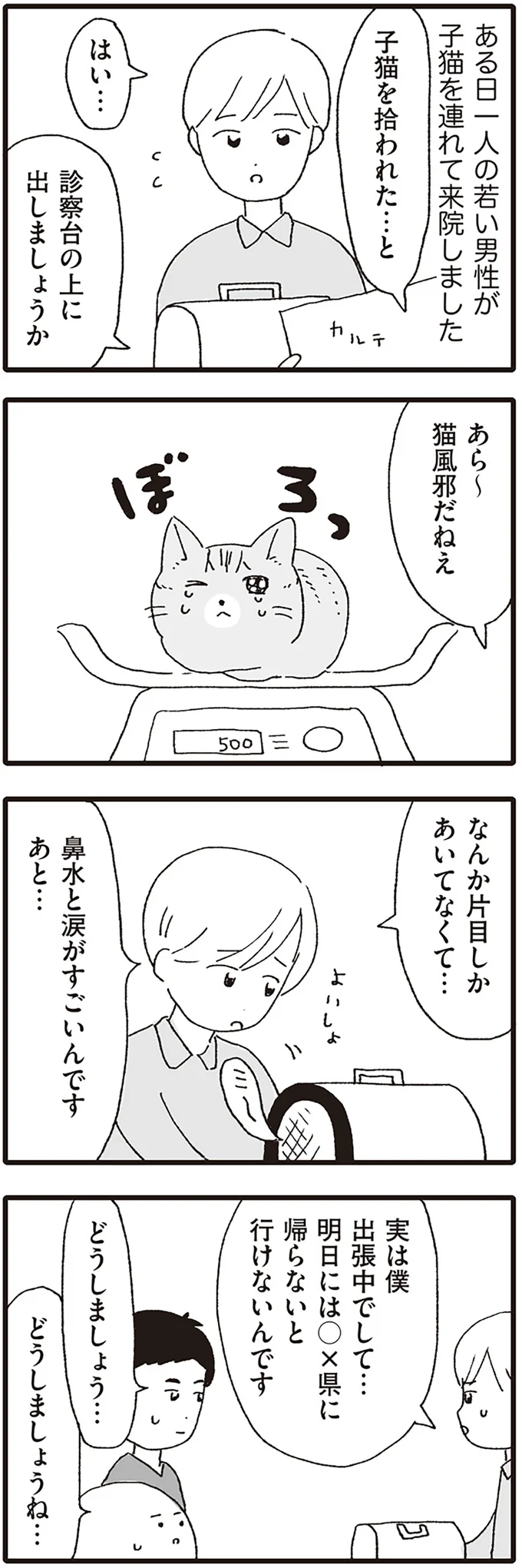 子猫を拾われた…と