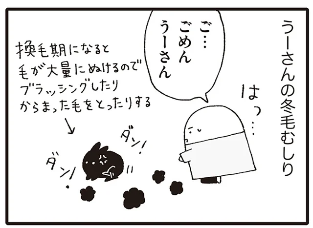 換毛期の冬毛むしりに没頭!? 初夏に訪れる、スタッフを夢中にさせるもの／いぬねこ動物病院日記（7）