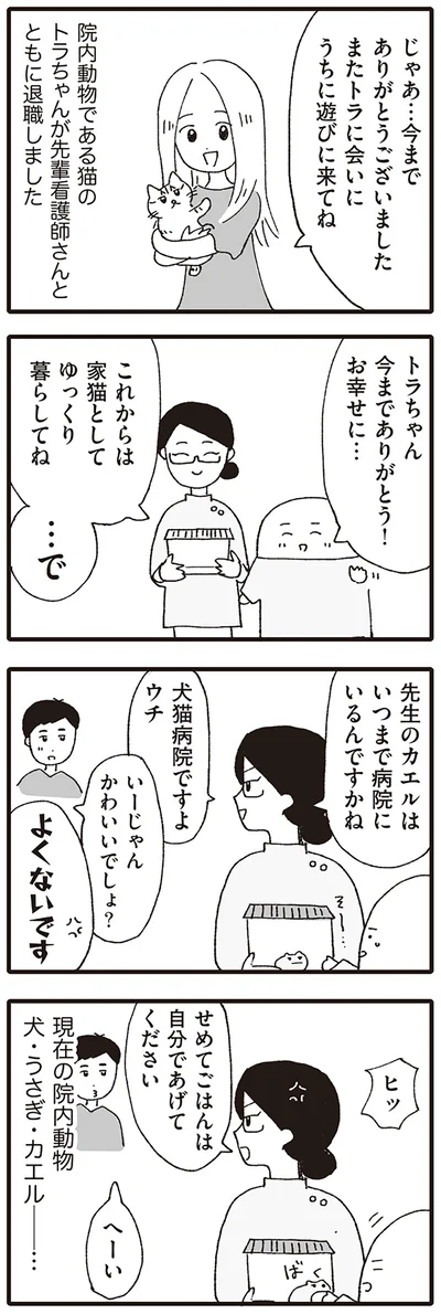 せめてごはんは自分であげてください
