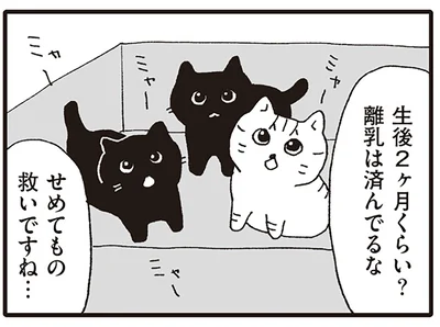 生後2ヶ月くらい？