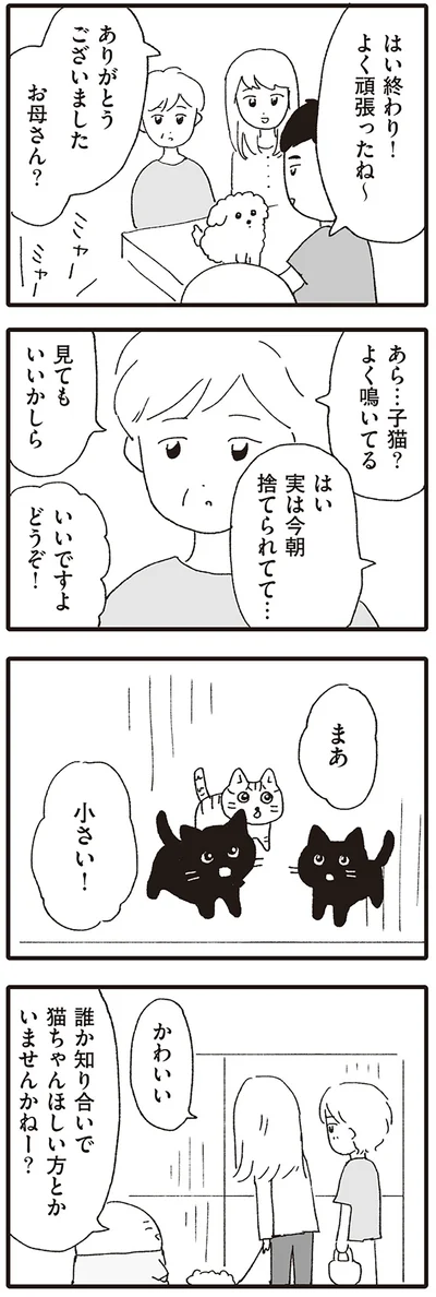 あら…子猫？
