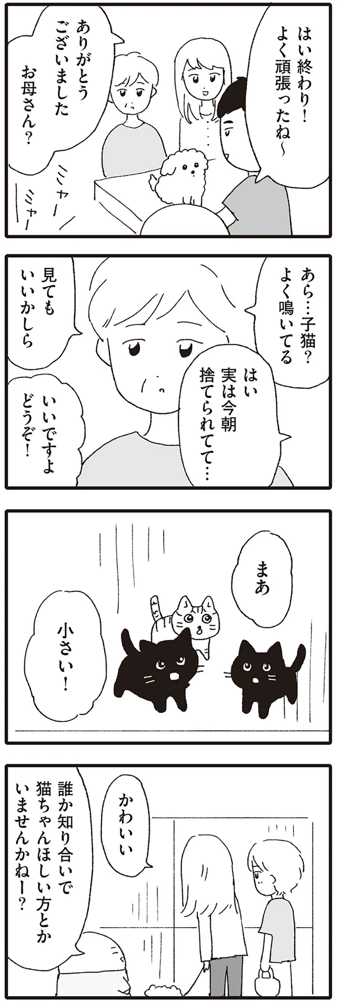 あら…子猫？