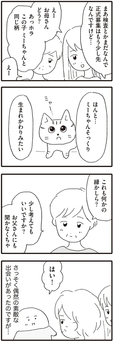 これも何かの縁かしら？