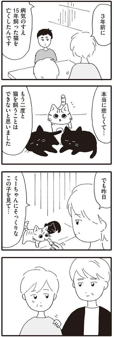 もう二度と猫を飼うことはできないと思いました