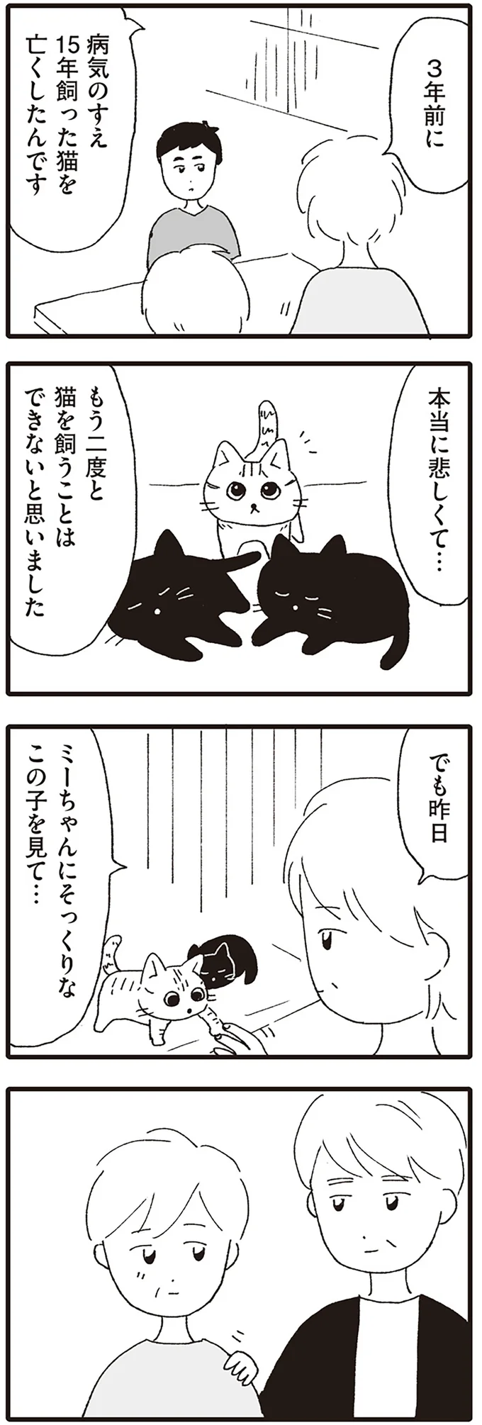 もう二度と猫を飼うことはできないと思いました