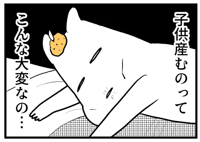 『つわりが怖くて2人目に踏み切れない話』より