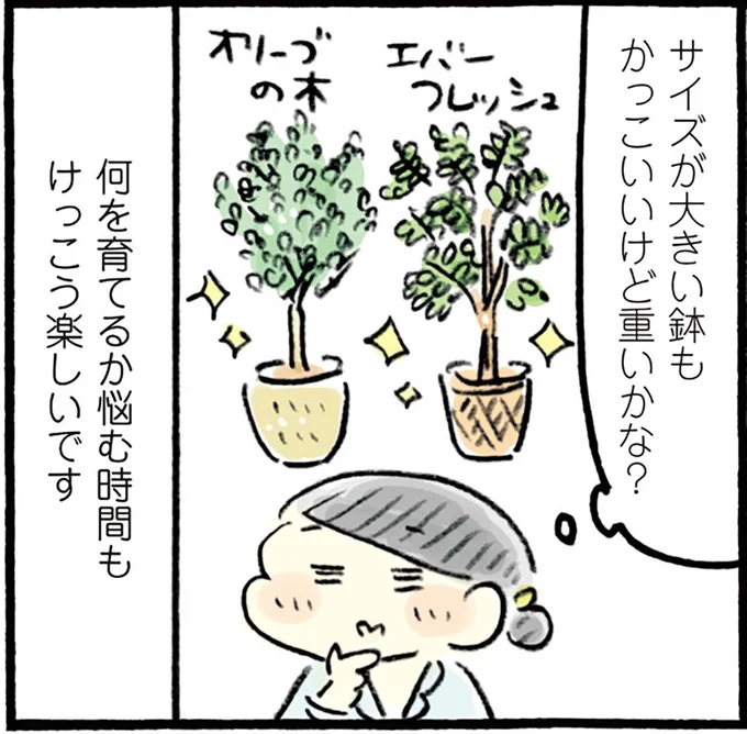 大きい鉢もかっこいいけど重いかな？