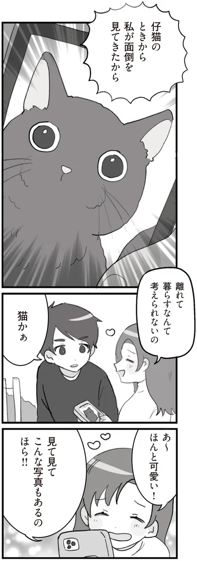 『旦那の浮気を仕掛けた黒幕は姑でした』より