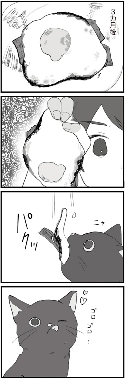 『旦那の浮気を仕掛けた黒幕は姑でした』より