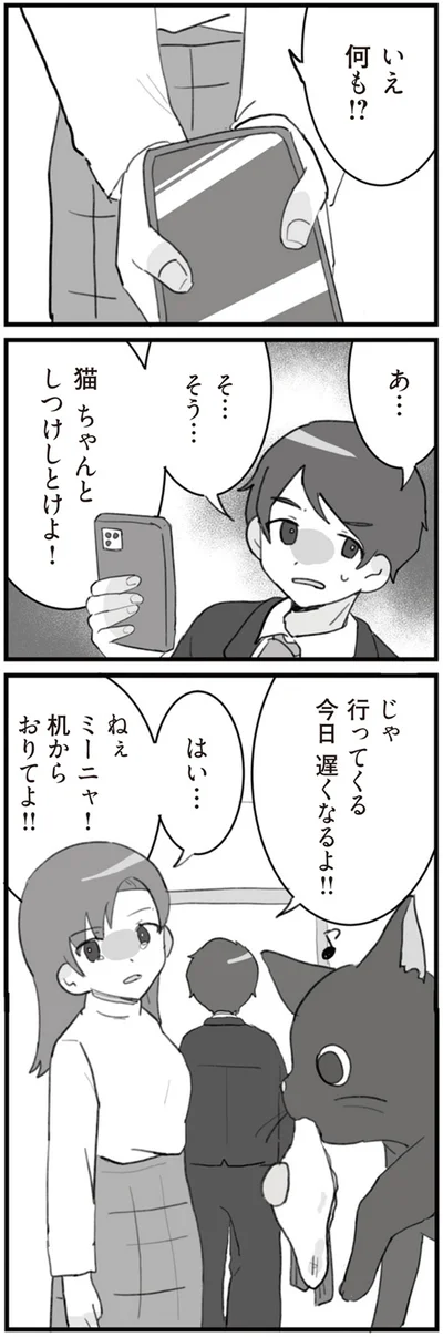 『旦那の浮気を仕掛けた黒幕は姑でした』より