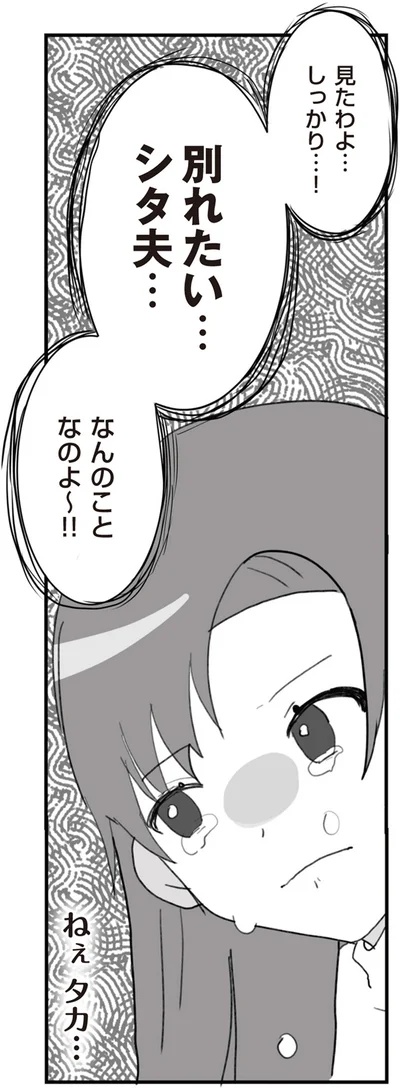 『旦那の浮気を仕掛けた黒幕は姑でした』より