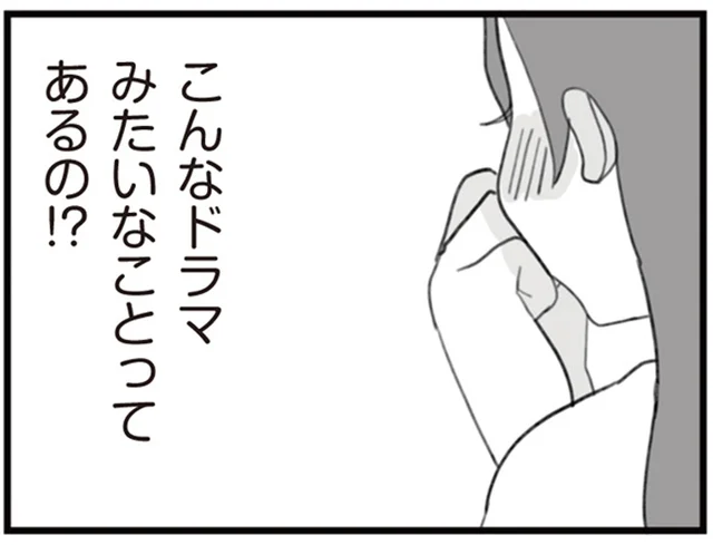 これって運命!?スマホを落としたらドラマのような展開に！／旦那の浮気を仕掛けた黒幕は姑でした（2）