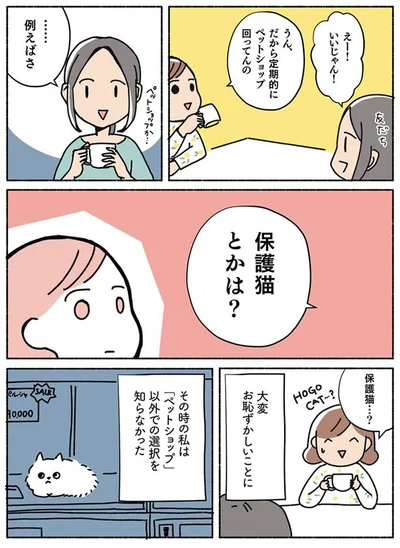 保護猫…？