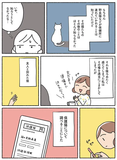 保護猫について調べることにした