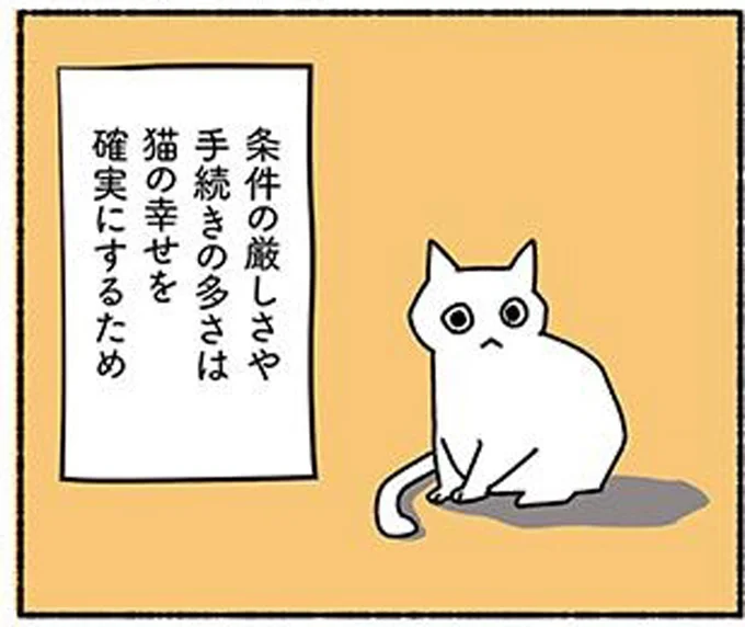 猫の幸せを確実にするため