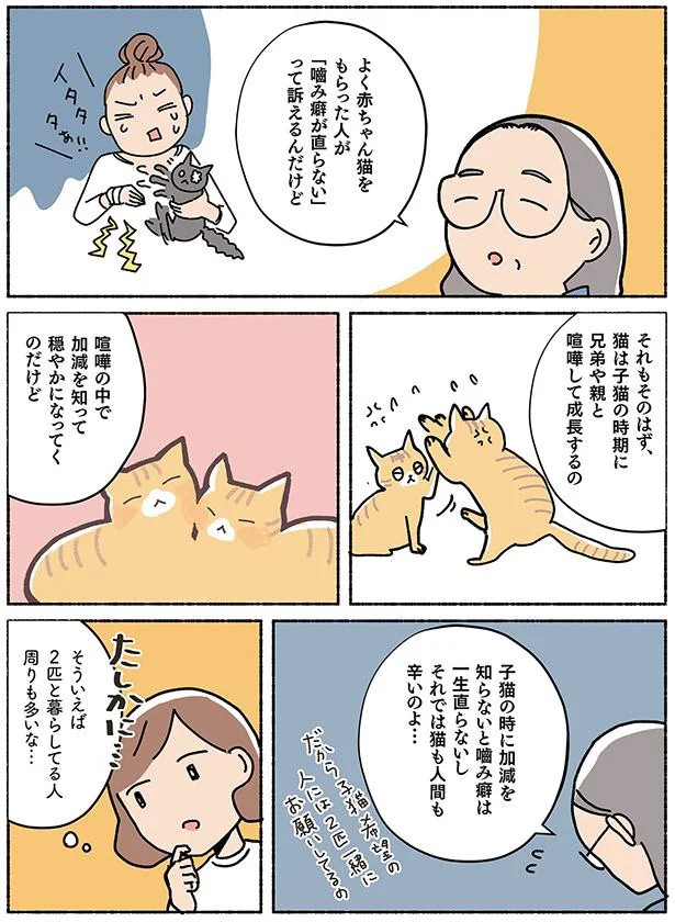 2匹と暮らしてる人周りも多いな…
