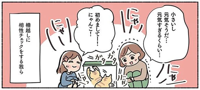 相性チェックをする我ら