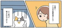 考えていた条件と全然違うけど。４歳の成猫を見てビビッときた「この子だ」！／ねこ活はじめました（9）