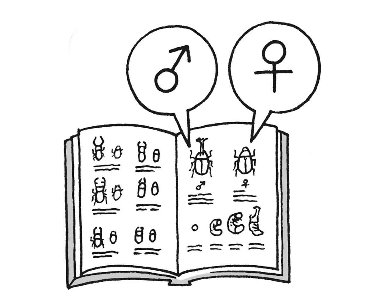 雄雌を表す記号「♂」「♀」のルーツとは／雑学うんちく図鑑（7） レタスクラブ