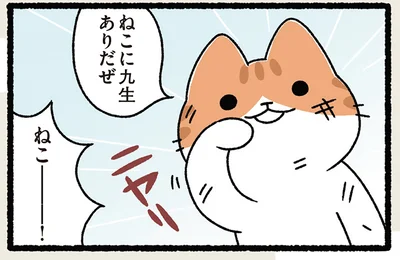 ねこーーーー！