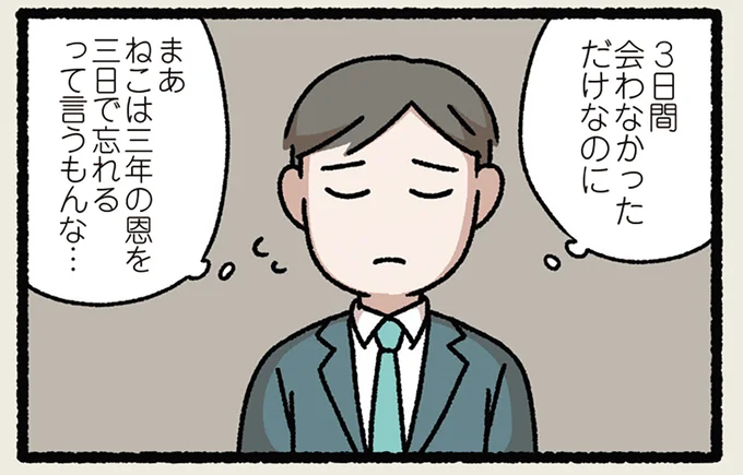 ねこは三年の恩を