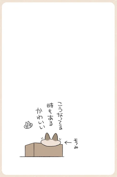 こうなってる時もある