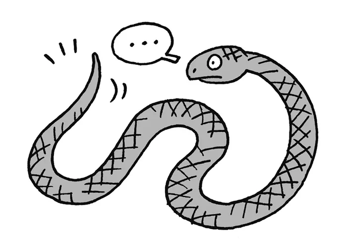 ヘビは一体どこからが「しっぽ」なの？