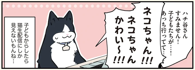 ネコちゃんかわい〜！！！