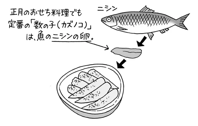 ニシンの卵