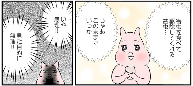 もう来なくていいよ！ 益虫を家の中で見つけてパニックになりました／毎日全力、たまーにズボラなすや子さんち（2）