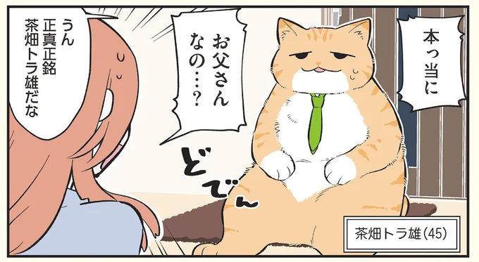 茶畑トラ雄(45)