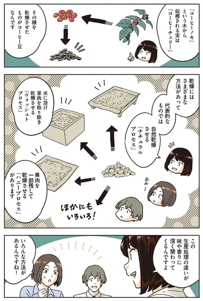 さまざまな乾燥方法