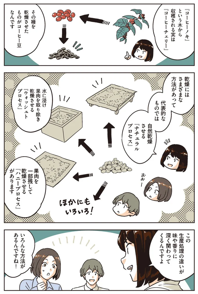 さまざまな乾燥方法
