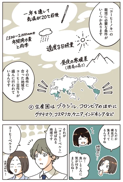 コーヒーベルト？