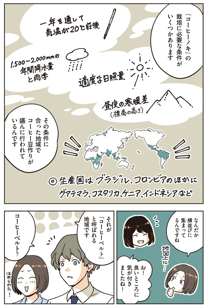 コーヒーベルト？