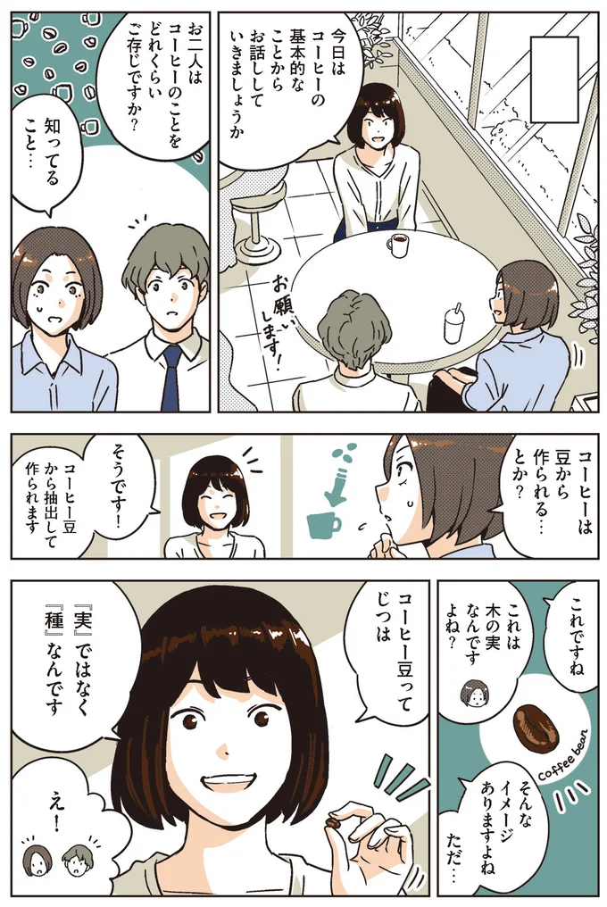 コーヒー豆ってじつは