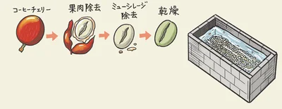 ウォッシュトプロセス