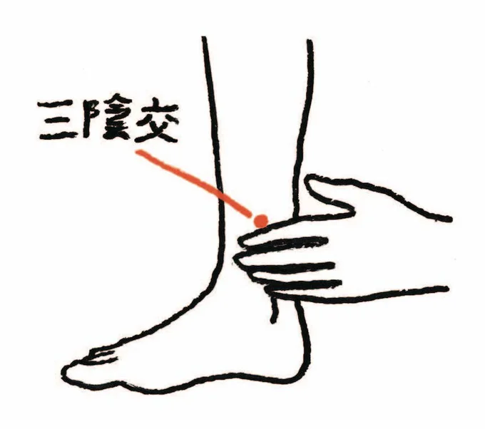 血行を促進するツボ「三陰交」を刺激して