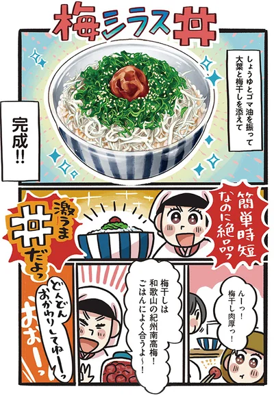 紀州南高梅！ごはんによく合うよ〜