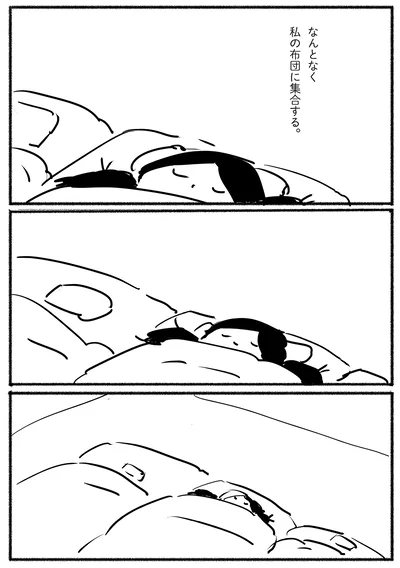なんとなく私の布団に集合する