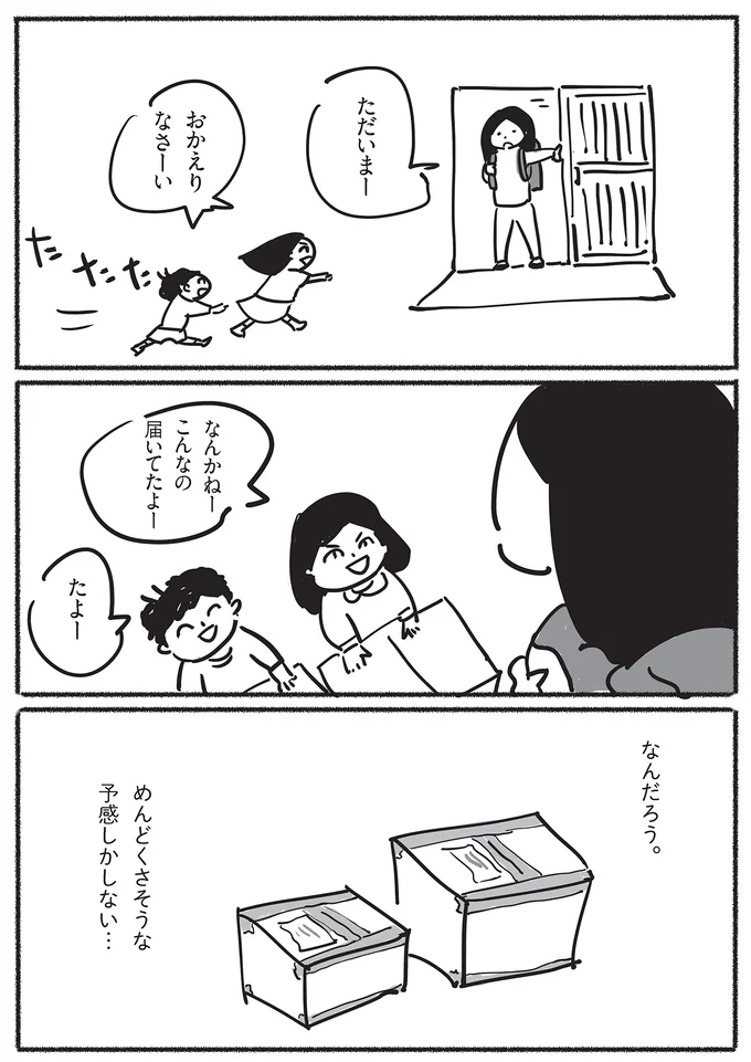 こんなの届いてたよー